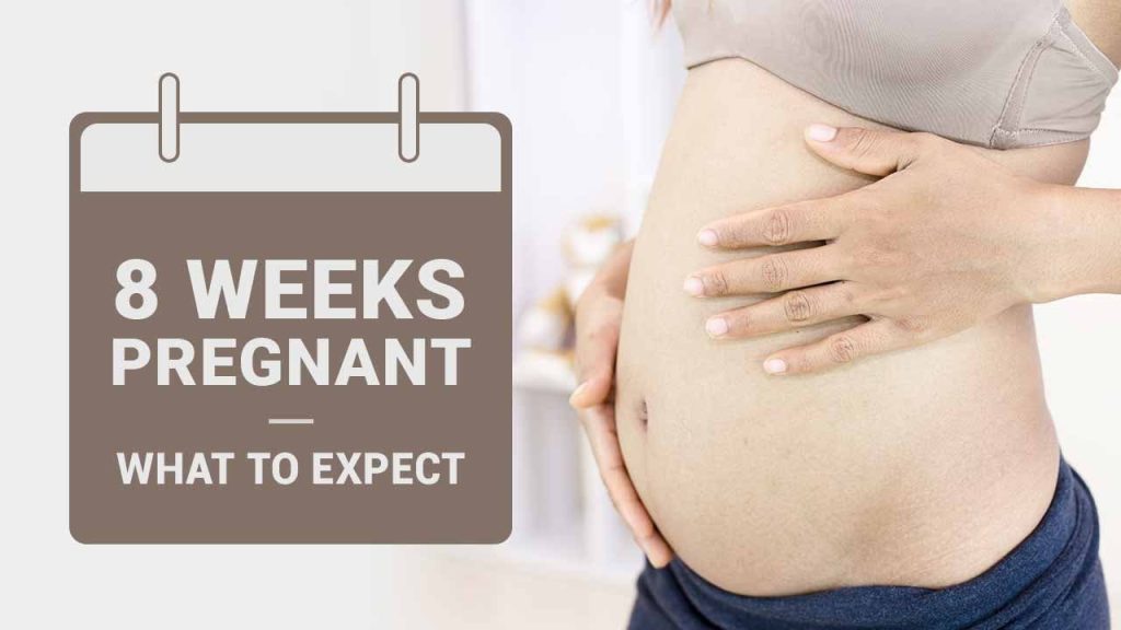 مراقبت های ماه دوم بارداری (هفته 5 الی 8)